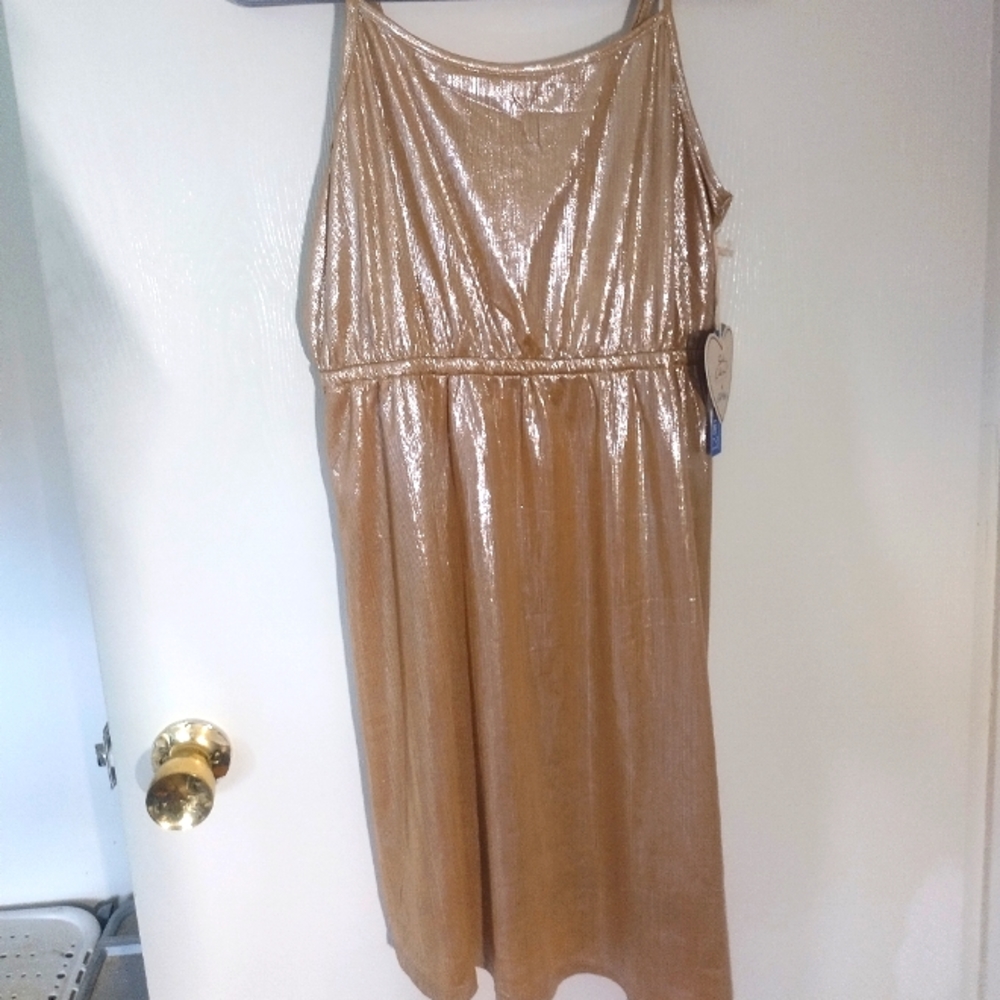Wild Blue Sadie Robertson Dress